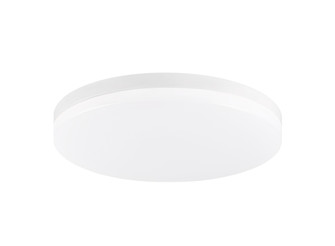Xelan Ceiling Mount (3605|M11901WH)