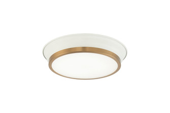 Jaxx White + Aged Gold Brass Ceiling Mount (3605|M11201WHAG)