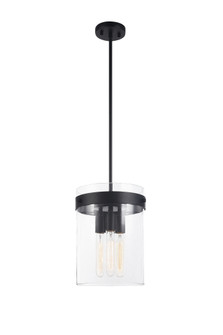 Zale Pendant (3605|C78403BK)