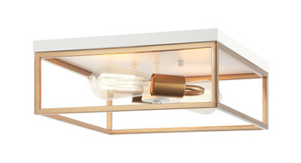 Clarke Flush Mounts (3605|M15542WHAG)
