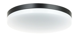 Orion Flush Mounts (3605|M12001BK)