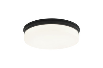 CIRCIAN Flush Mounts (3605|M10902MB)