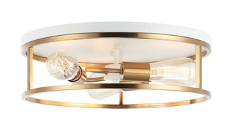 Clarke Flush Mounts (3605|M15503WHAG)