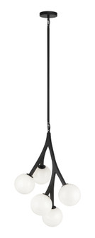 Rami Chandelier (3605|C81505BKOP)