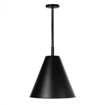 Regina Andrew Bluff Outdoor Pendant (Black) (5533|17-1005BLK)