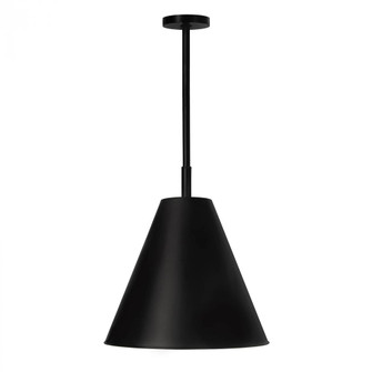 Regina Andrew Bluff Outdoor Pendant (Black) (5533|17-1005BLK)