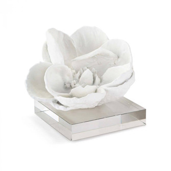 Regina Andrew Magnolia Objet (White) (5533|20-1286WT)