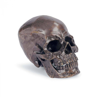 Regina Andrew Metal Skull (Antique Bronze) (5533|20-1034BZ)