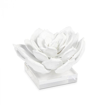 Regina Andrew Succulent Resin Sculpture 1 (5533|20-1483)