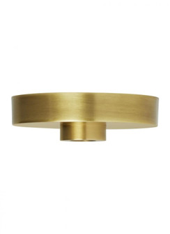 Line-Voltage Shallow Canopy (7355|700SHLCNPY6NB)