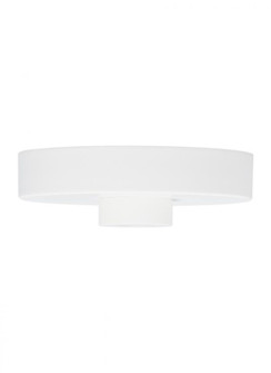 Line-Voltage Shallow Canopy (7355|700SHLCNPY5W)