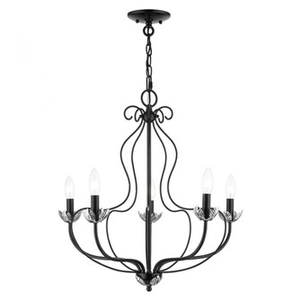 5 Light Shiny Black Chandelier (108|42905-68)