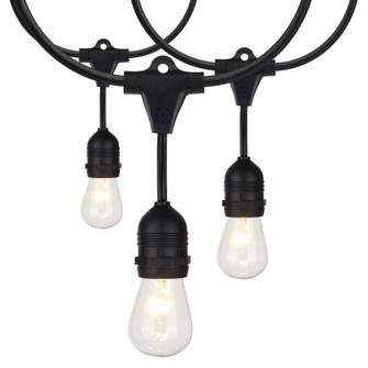 24Ft; Incandescent String Light; Includes 12-S14 bulbs; 120 Volts (27|S8035)