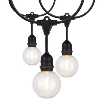 24Ft; LED String Light; Includes 12-G25 bulbs; 2200K; 120 Volts (27|S8034)