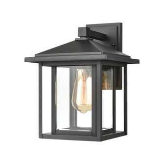 Solitude 1-Light Sconce in Matte Black with Clear Glass (91|87131/1)