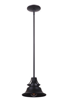 Union 1 Light Large Outdoor Pendant in Midnight (20|Z4421-MN)