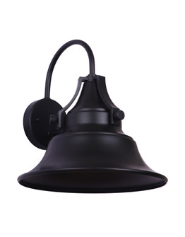 Union 1 Light Medium Outdoor Wall Lantern in Midnight (20|Z4414-MN)