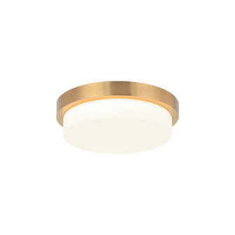 Durham Ceiling Mount (3605|M15901AG)