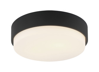 Quintz Flush Mounts (3605|M13202MB)