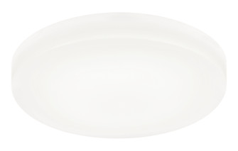 Zelle Flush Mounts (3605|M10202WH)
