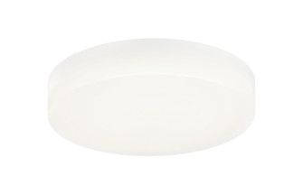 Zelle Flush Mounts (3605|M10201WH)