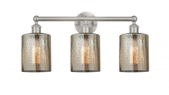 Cobbleskill - 3 Light - 23 inch - Brushed Satin Nickel - Bath Vanity Light (3442|616-3W-SN-G116)