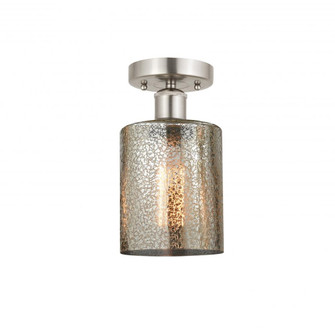 Cobbleskill - 1 Light - 5 inch - Brushed Satin Nickel - Semi-Flush Mount (3442|616-1F-SN-G116)