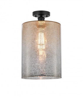 Cobbleskill - 1 Light - 9 inch - Matte Black - Semi-Flush Mount (3442|616-1F-BK-G116-L)