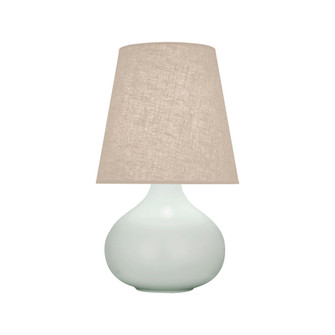 Matte Celadon Small June Accent Lamp (237|MCL91)
