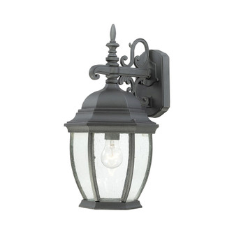 Thomas - Covington 18'' High 1-Light Outdoor Sconce - Black (91|SL92297)