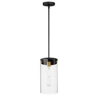 Pinn-Single Pendant (19|12408CLBKSBR)