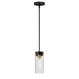 Pinn-Mini Pendant (19|12406CLBKSBR)