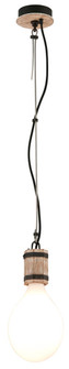 Fulton Pendant (52|F4554)