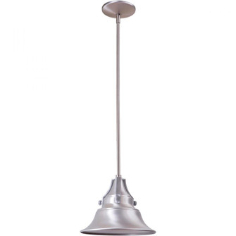 Union 1 Light Small Outdoor Pendant in Satin Aluminum (20|Z4401-SA)