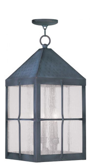 Outdoor Chain Hang (108|2687-61)