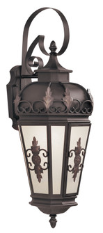 1 Light Bronze Outdoor Wall Lantern (108|2193-07)