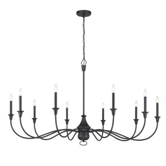 Halifax County - 10 Light, Chandelier Fixture in Metal (10|6259-076)