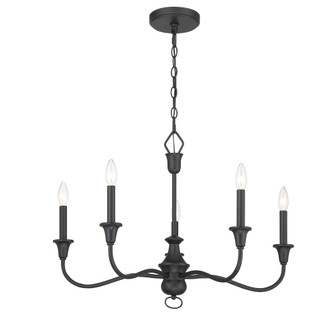 Halifax County - 5 Light, Chandelier Fixture in Metal (10|6255-076)