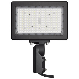 LED Flood Light; 150 Watt; 5000K; Bronze Finish (81|65/620R1)