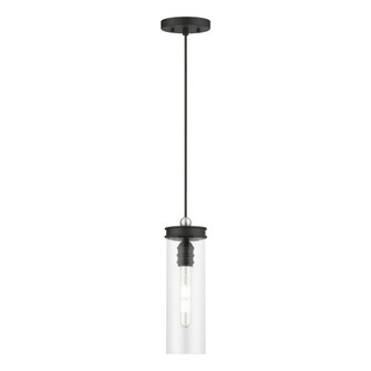 1 Light Black with Brushed Nickel Accent Mini Pendant (108|41236-04)