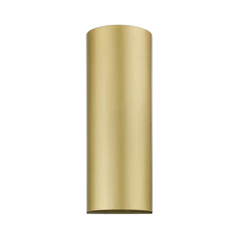1 Light Satin Gold Outdoor / Indoor ADA Large Sconce (108|22063-32)