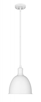 1 Light Pendant (276|4500P8-SW)