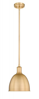 1 Light Pendant (276|4500P8-CB)