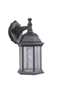 Hex Style Cast 1 Light Small Outdoor Wall Mount in Textured Black (Clear Seeded Glass) (20|Z294-TB-CS)