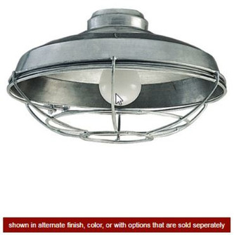 Wire Cage No Glass w/1x 18w CFL- AG (20|LK984AG)