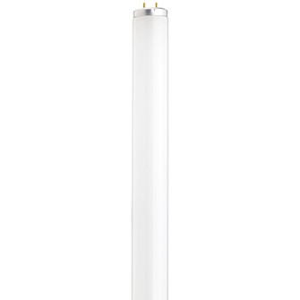 14 Watt; T12 Preheat Fluorescent; 3000K Warm White; 80 CRI; Medium Bi Pin (27|S26561)
