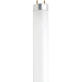 14 Watt; Fluorescent T8; 6500K; Daylight; Medium Bi-Pin (G13) Base (27|S27931)