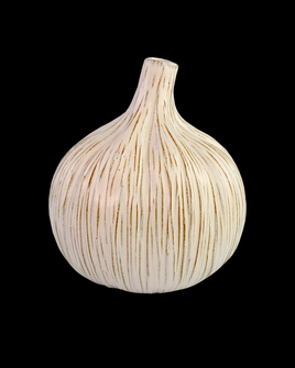 Medium White Garlic Bulb (92|1200-0539)