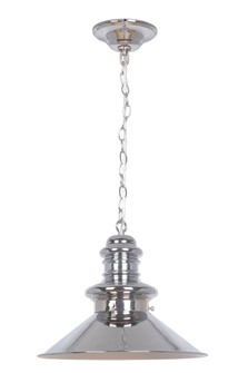 1 Light Mini Pendant (20|P730CH1)