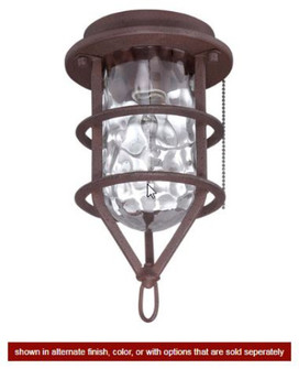 Wire Cage Clear Water Glass w/1x4w LED Filament Bulb- FB (20|OLK200-FB-LED)